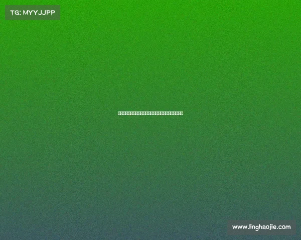 法甲四后卫体系解析：打造坚固防线与快速反击的完美平衡